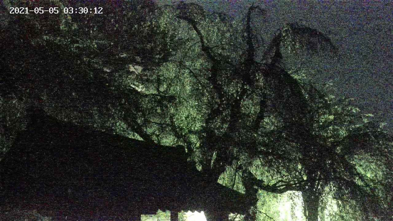 area1-20210505033013.jpg
