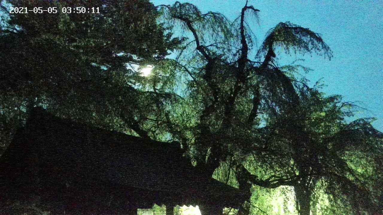 area1-20210505035013.jpg