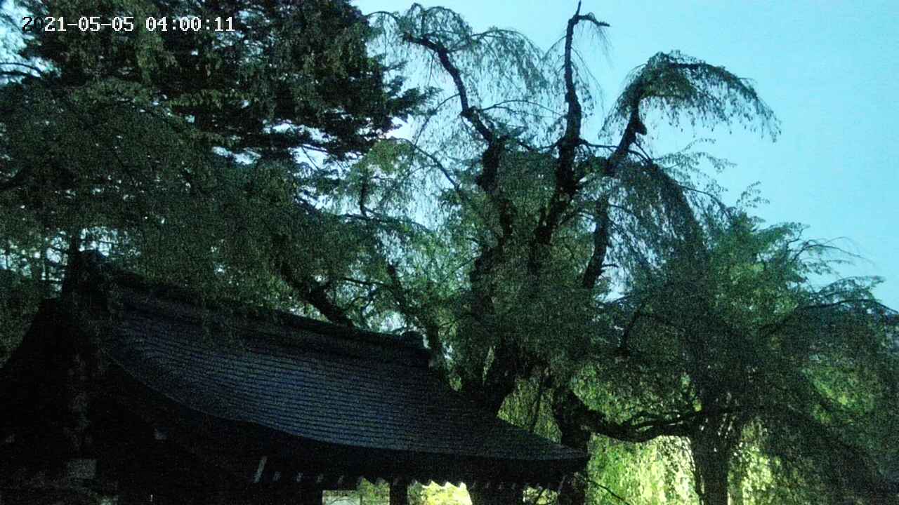 area1-20210505040013.jpg