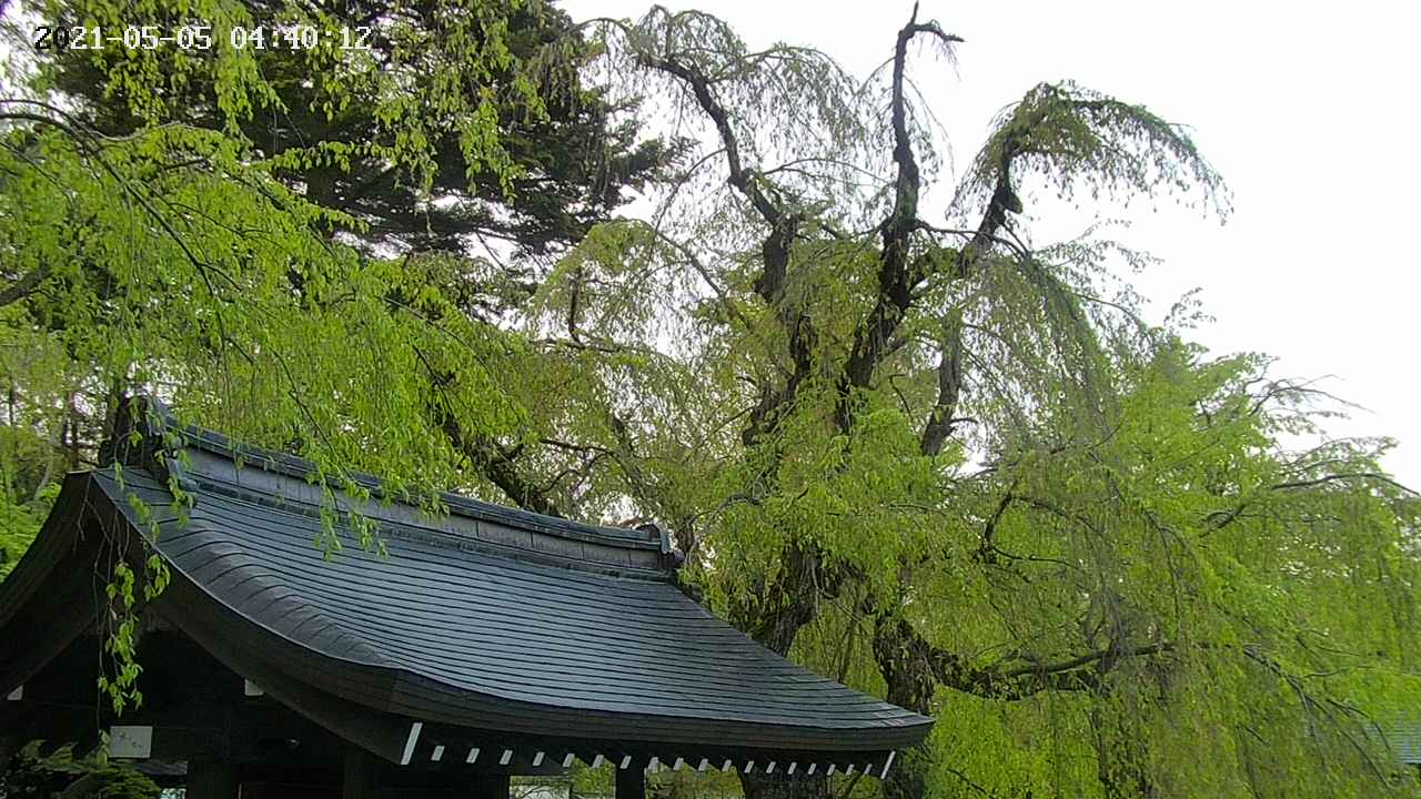 area1-20210505044014.jpg