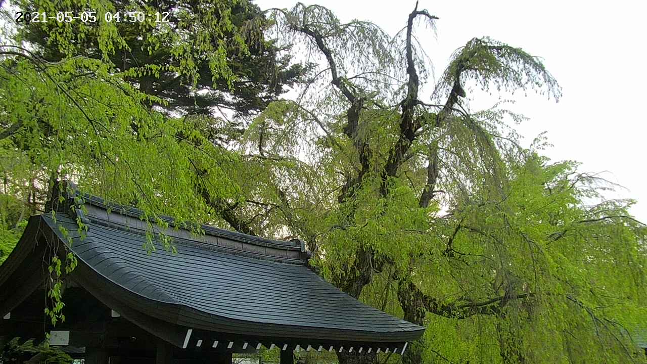 area1-20210505045013.jpg