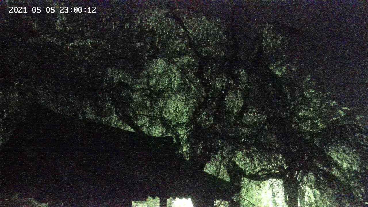 area1-20210505230013.jpg