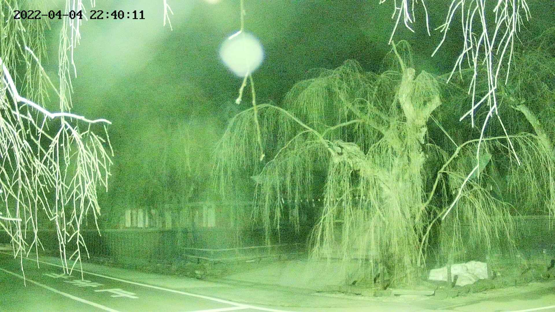 area1-20220404224013.jpg