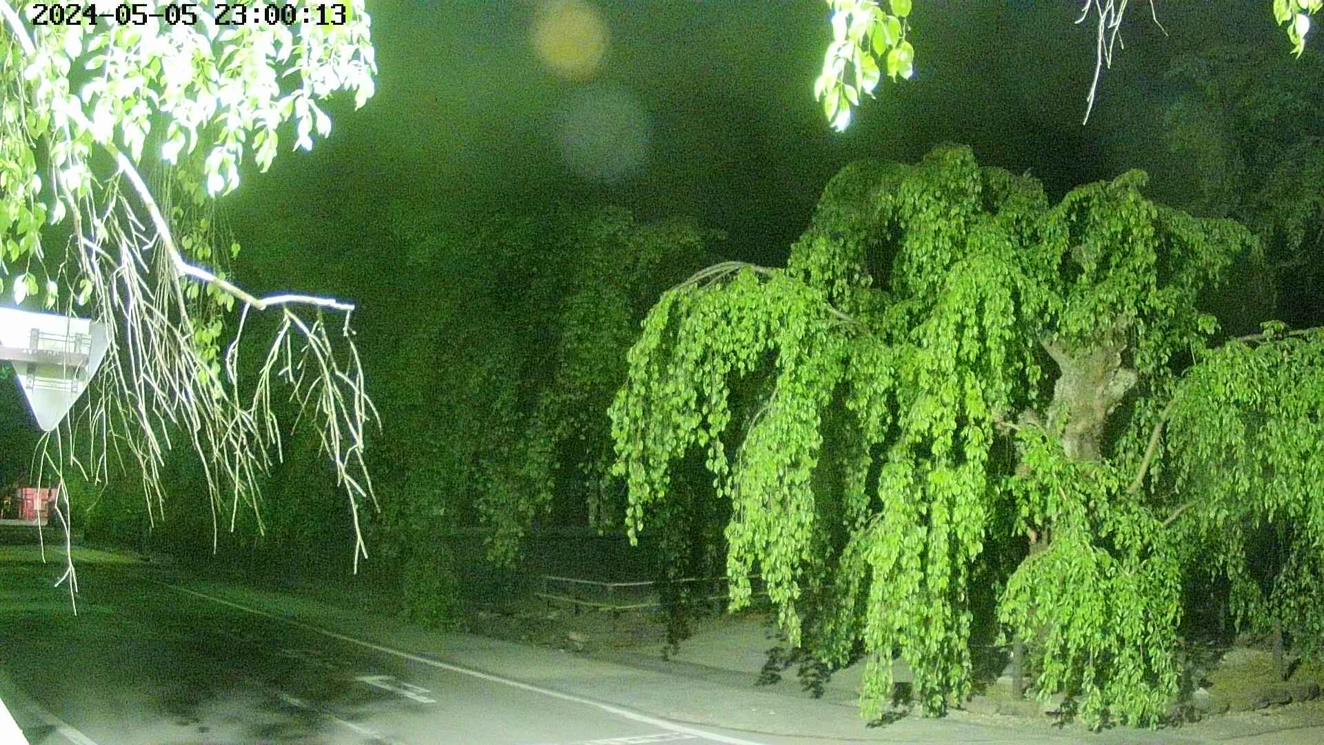 area1-20240505230015.jpg