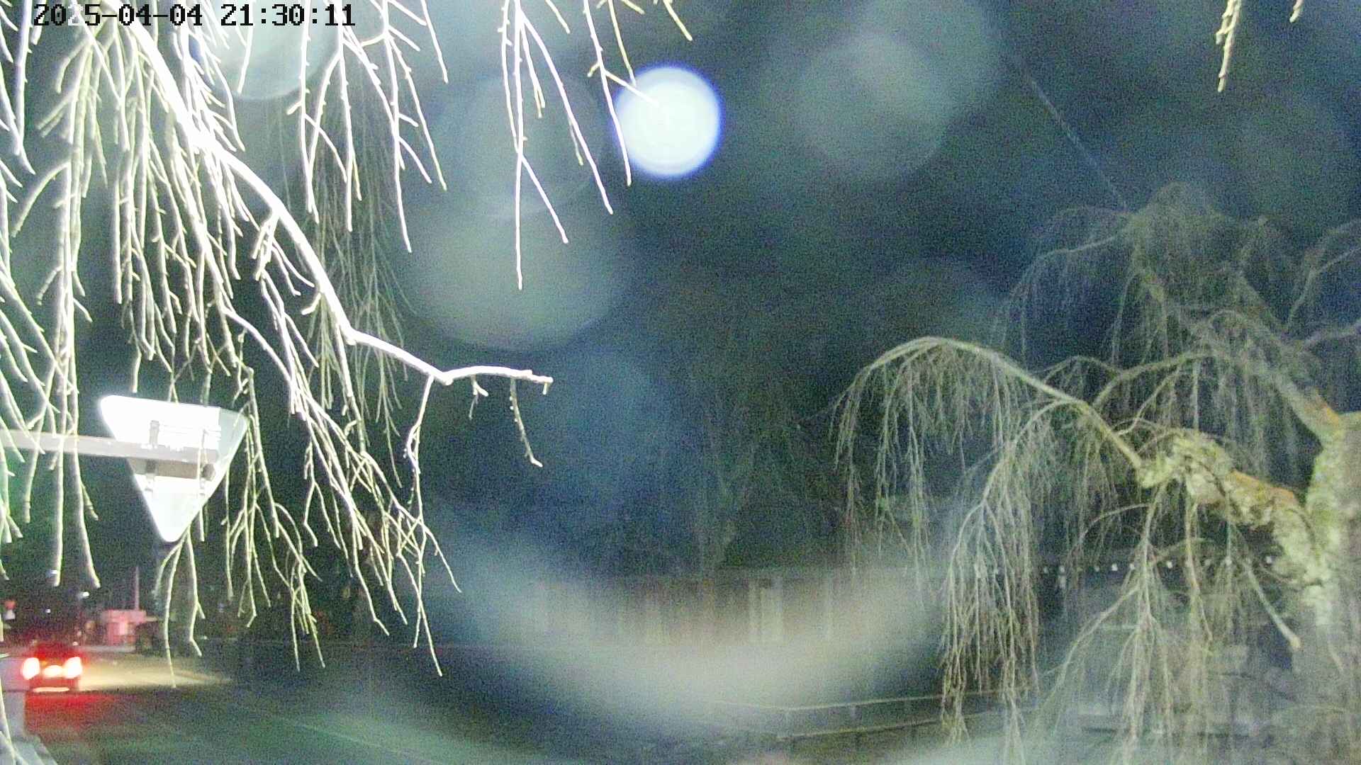 area1-20250404213014.jpg