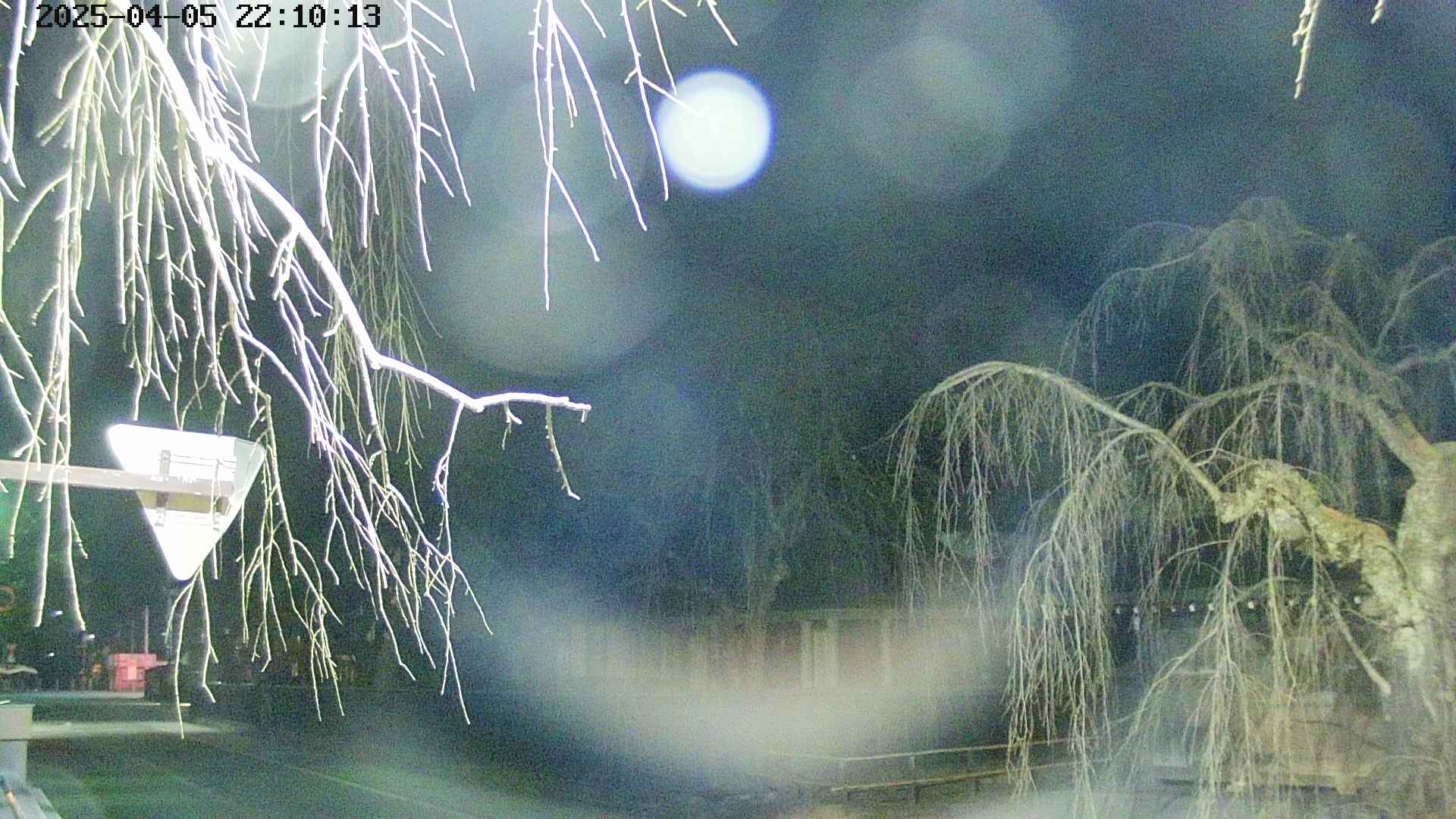 area1-20250405221016.jpg