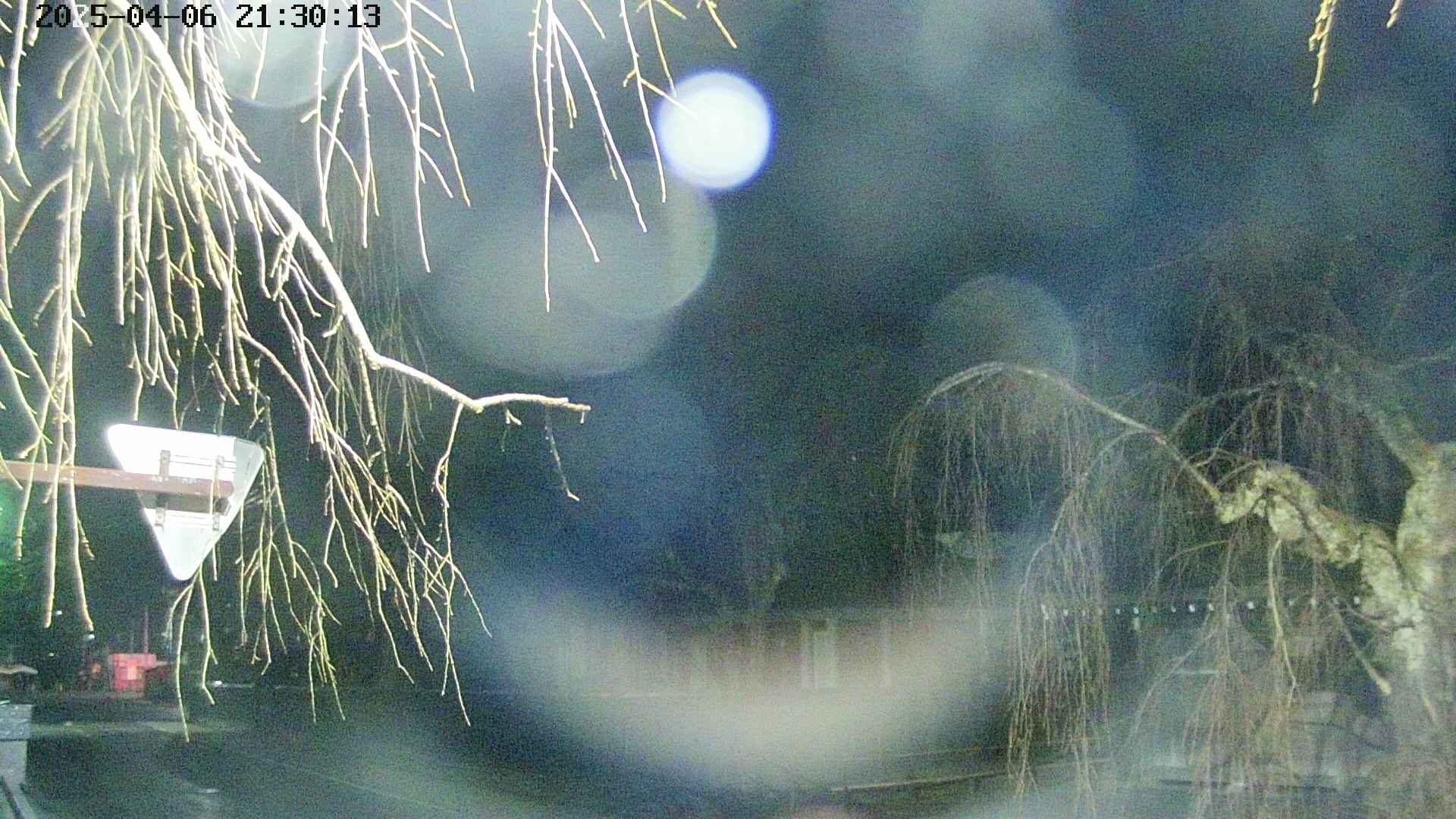 area1-20250406213015.jpg