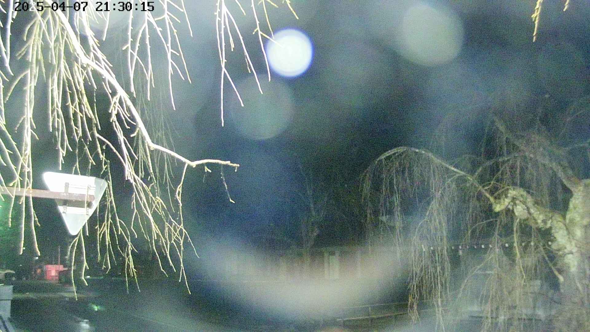 area1-20250407213017.jpg