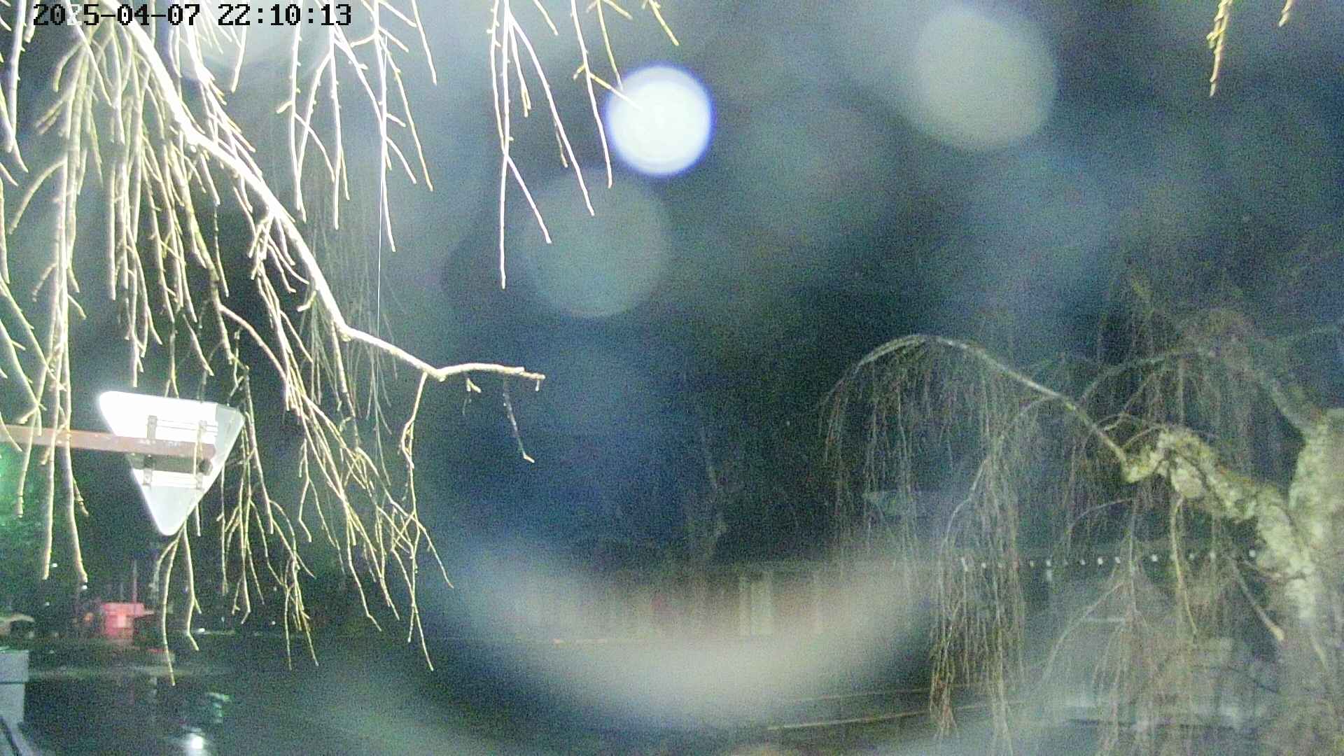 area1-20250407221016.jpg