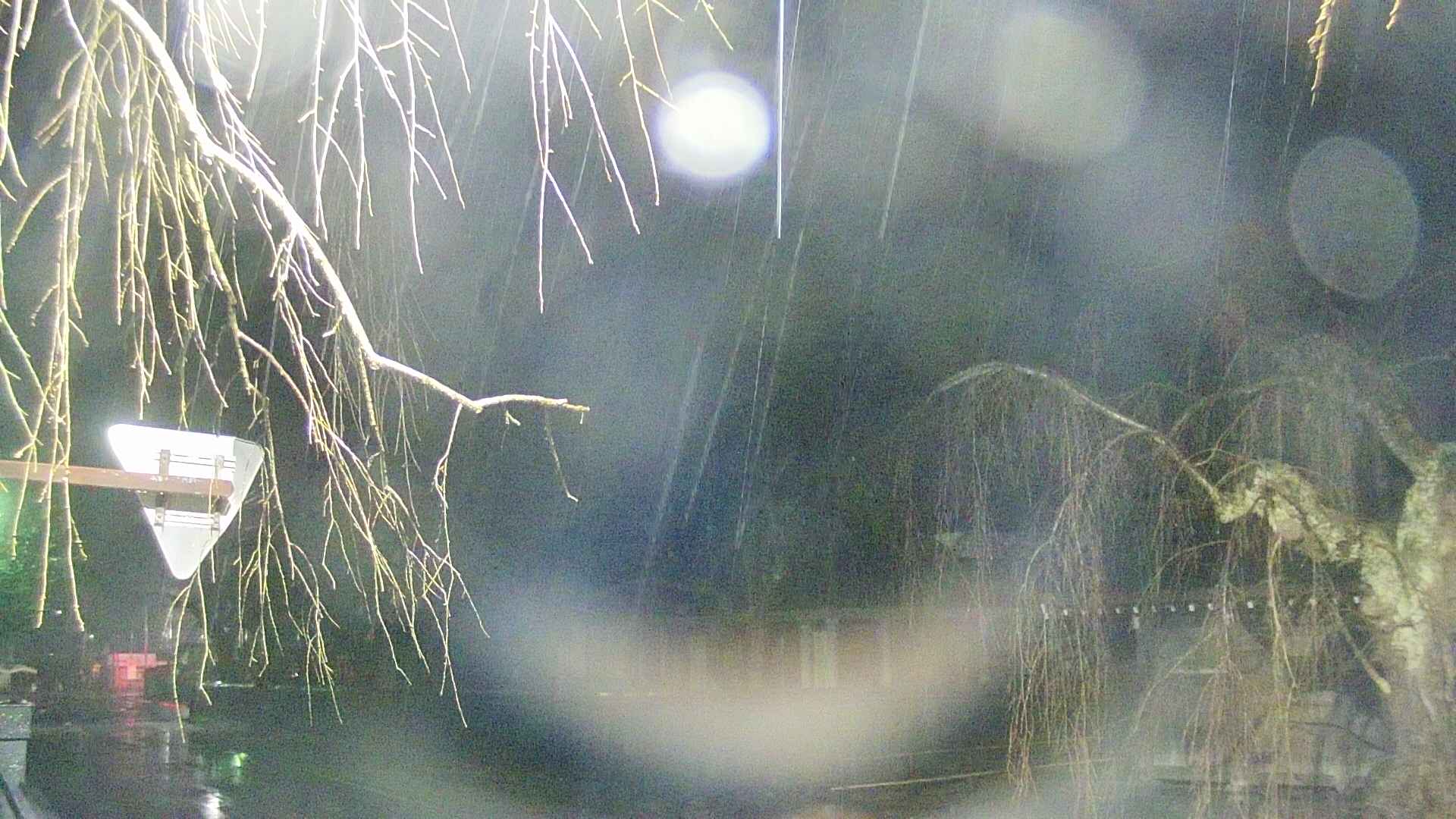 area1-20250408221016.jpg