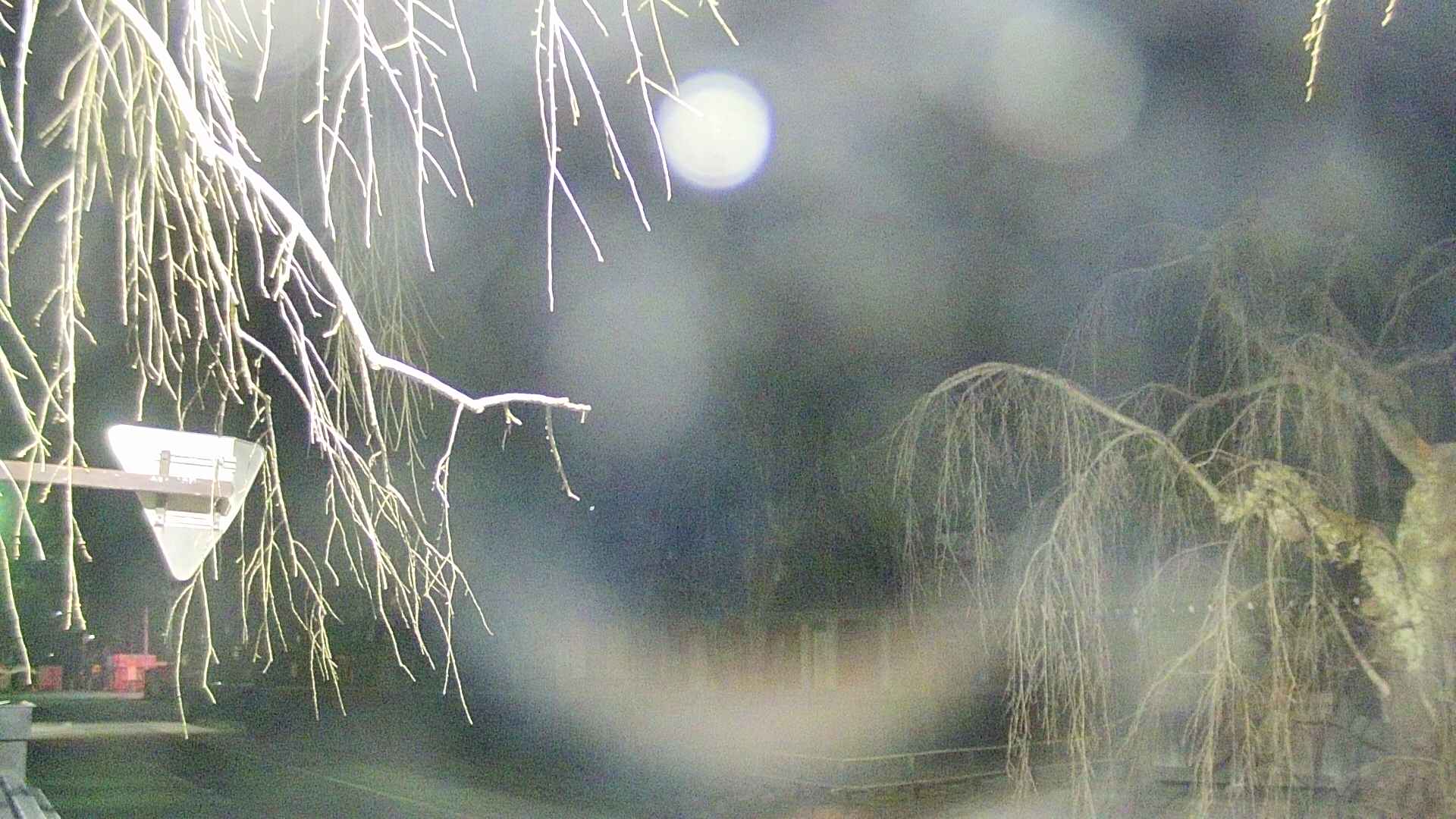 area1-20250409221017.jpg