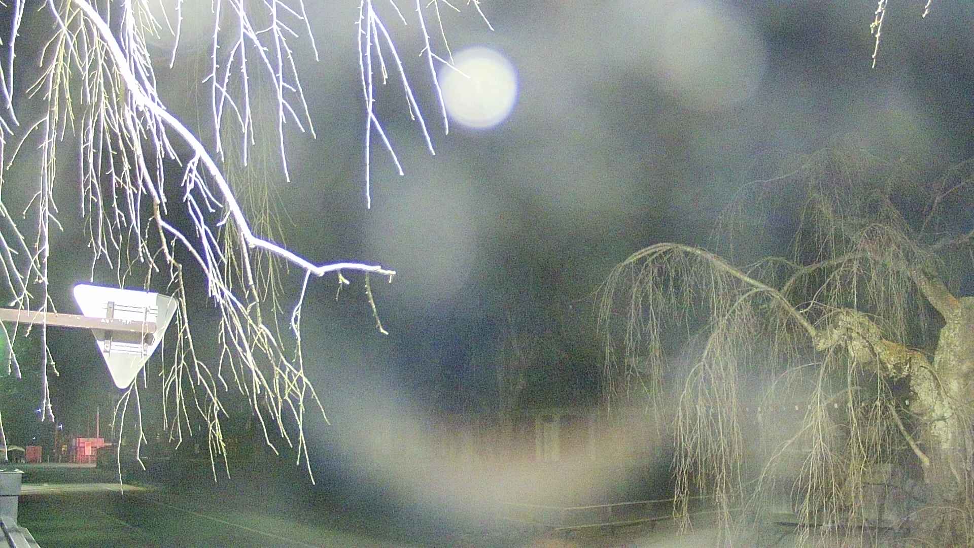 area1-20250410213016.jpg
