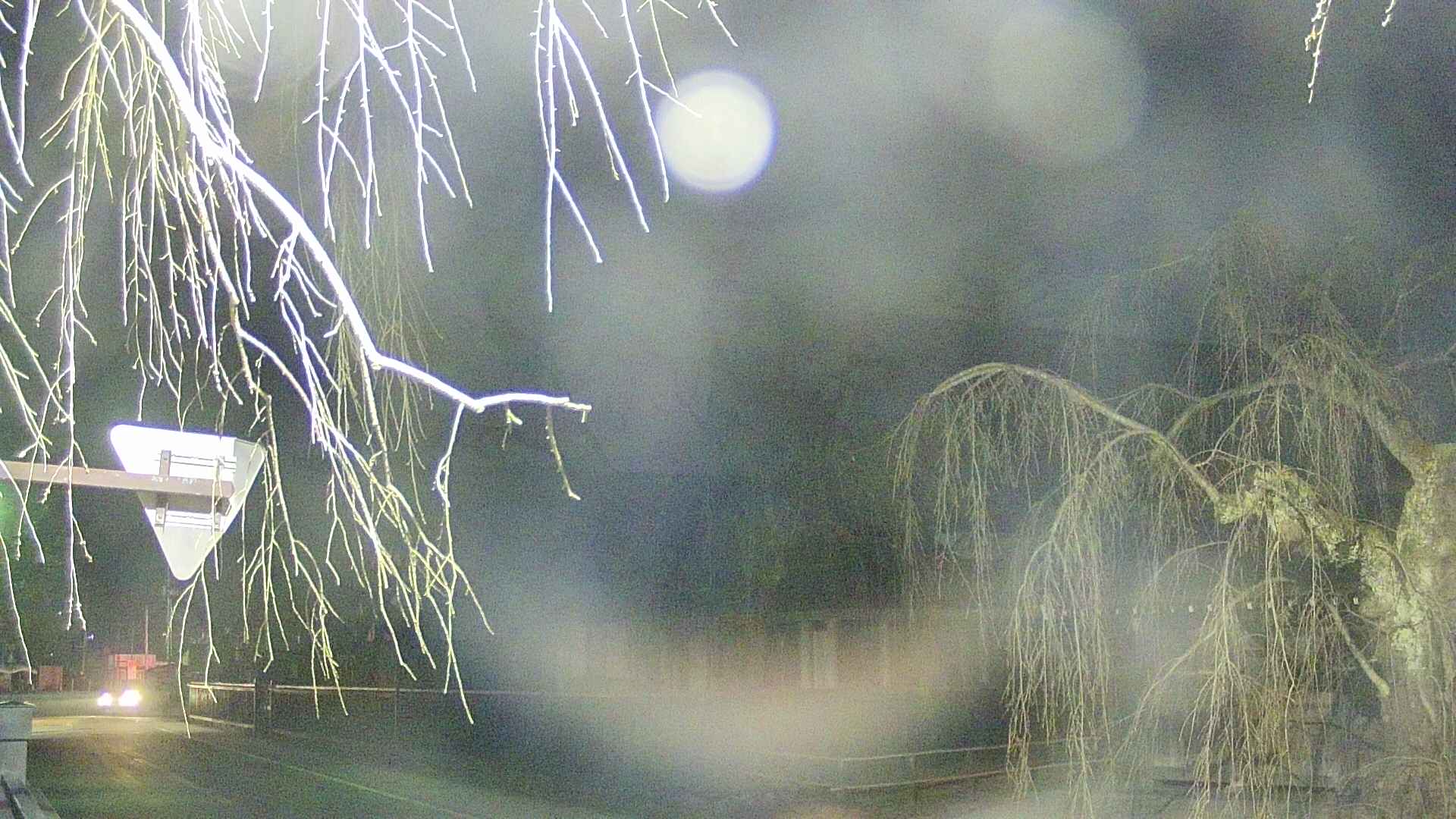 area1-20250411213015.jpg