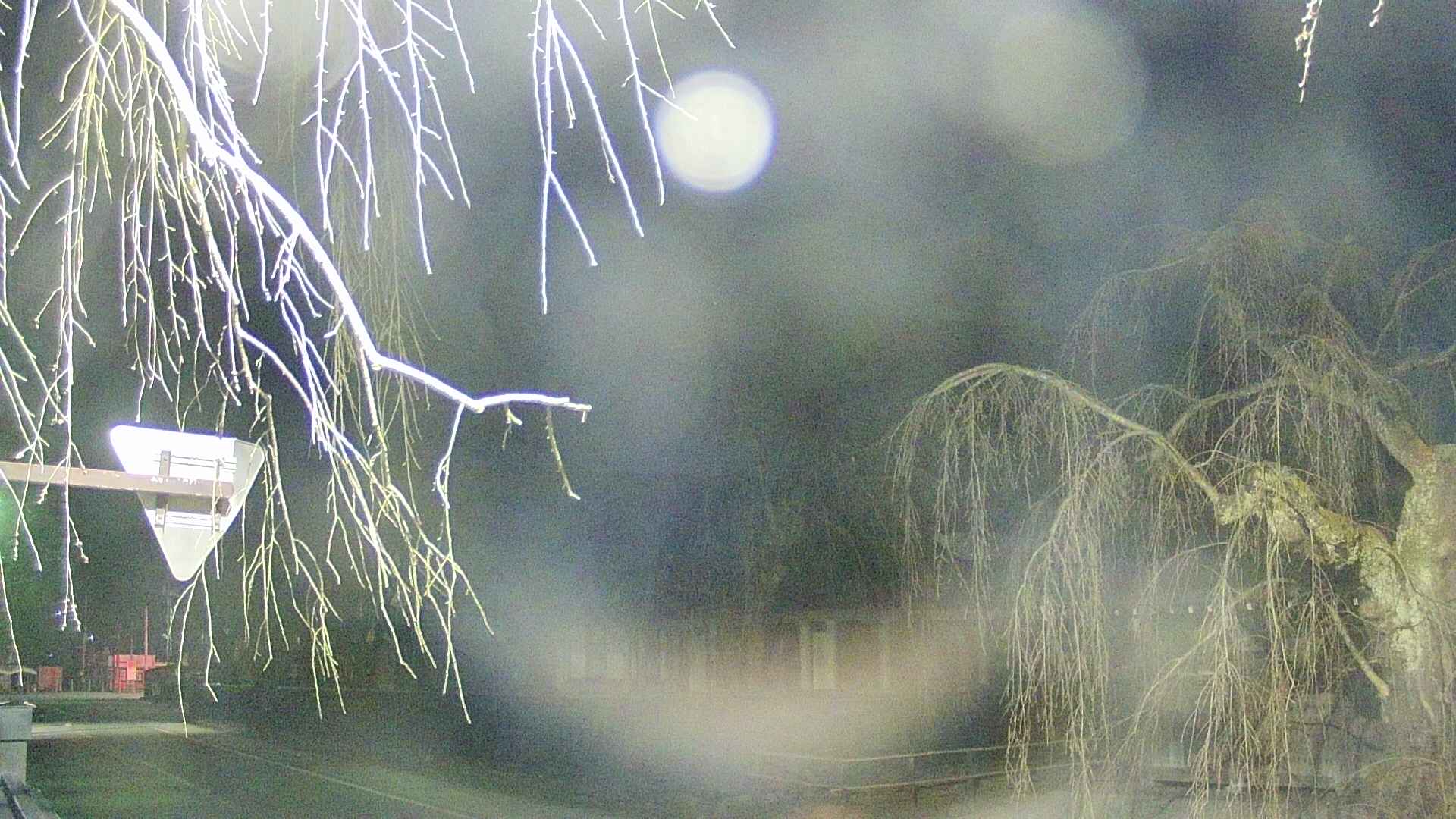 area1-20250412213016.jpg