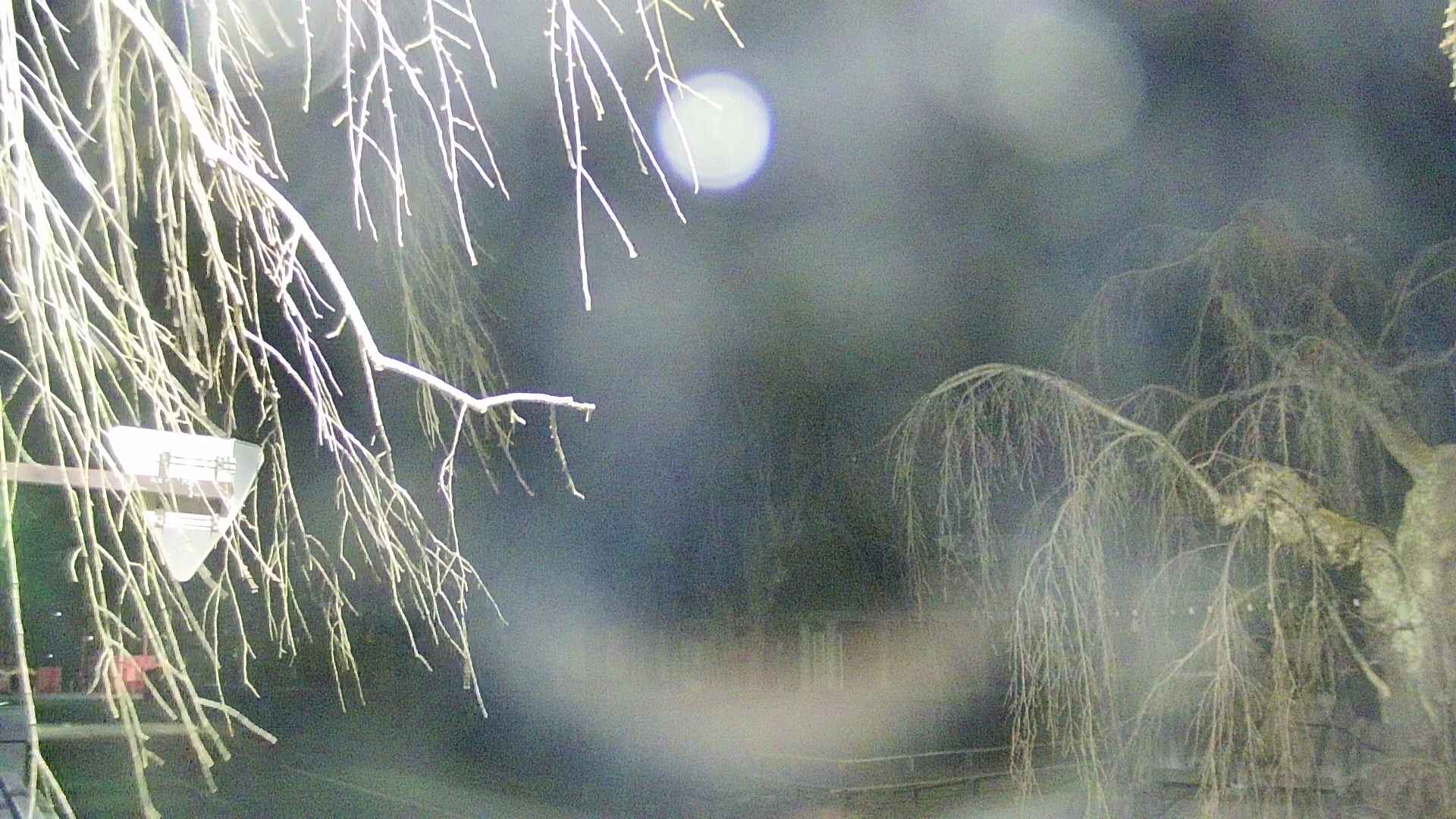 area1-20250413221015.jpg