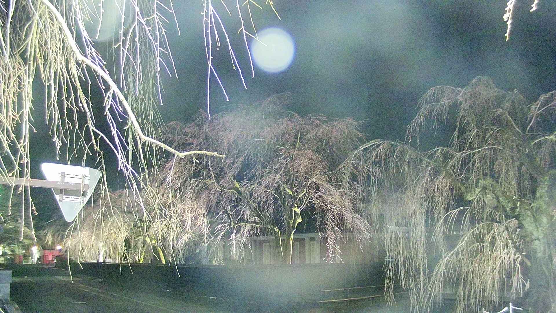area1-20250415221016.jpg