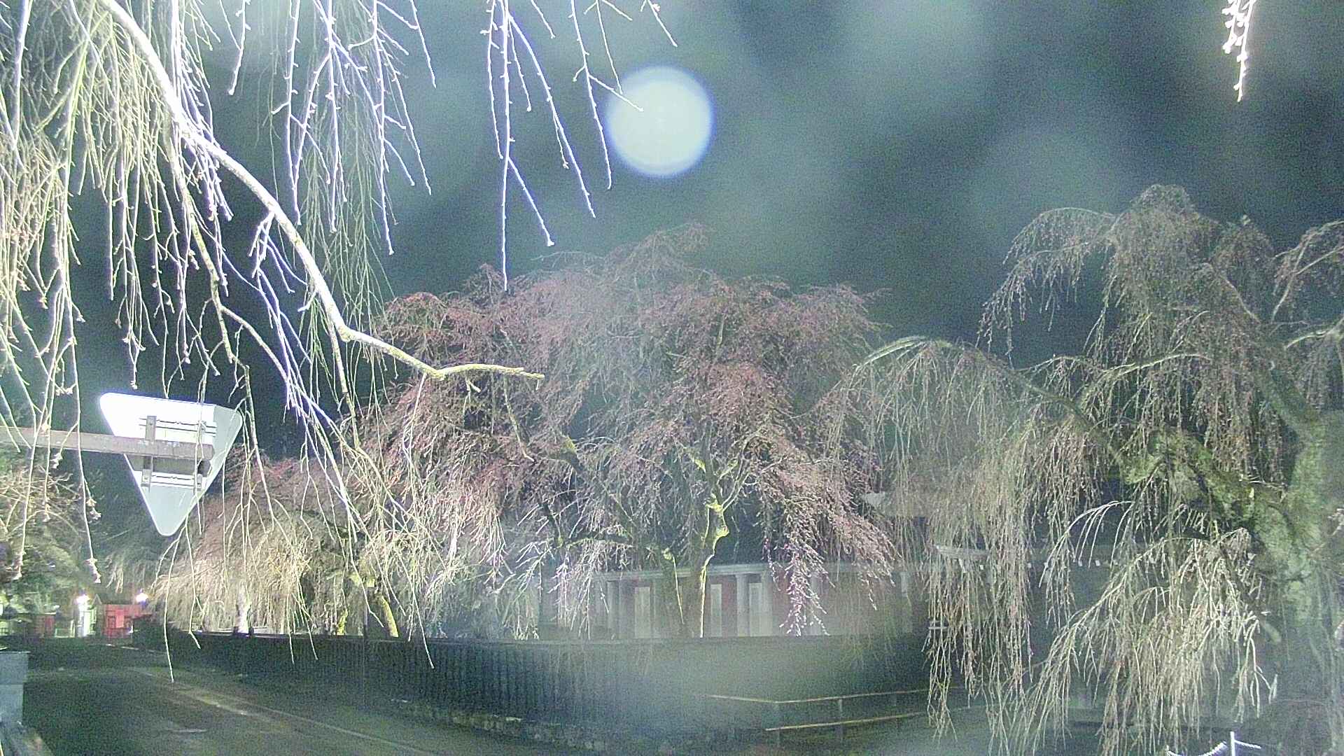 area1-20250417213017.jpg