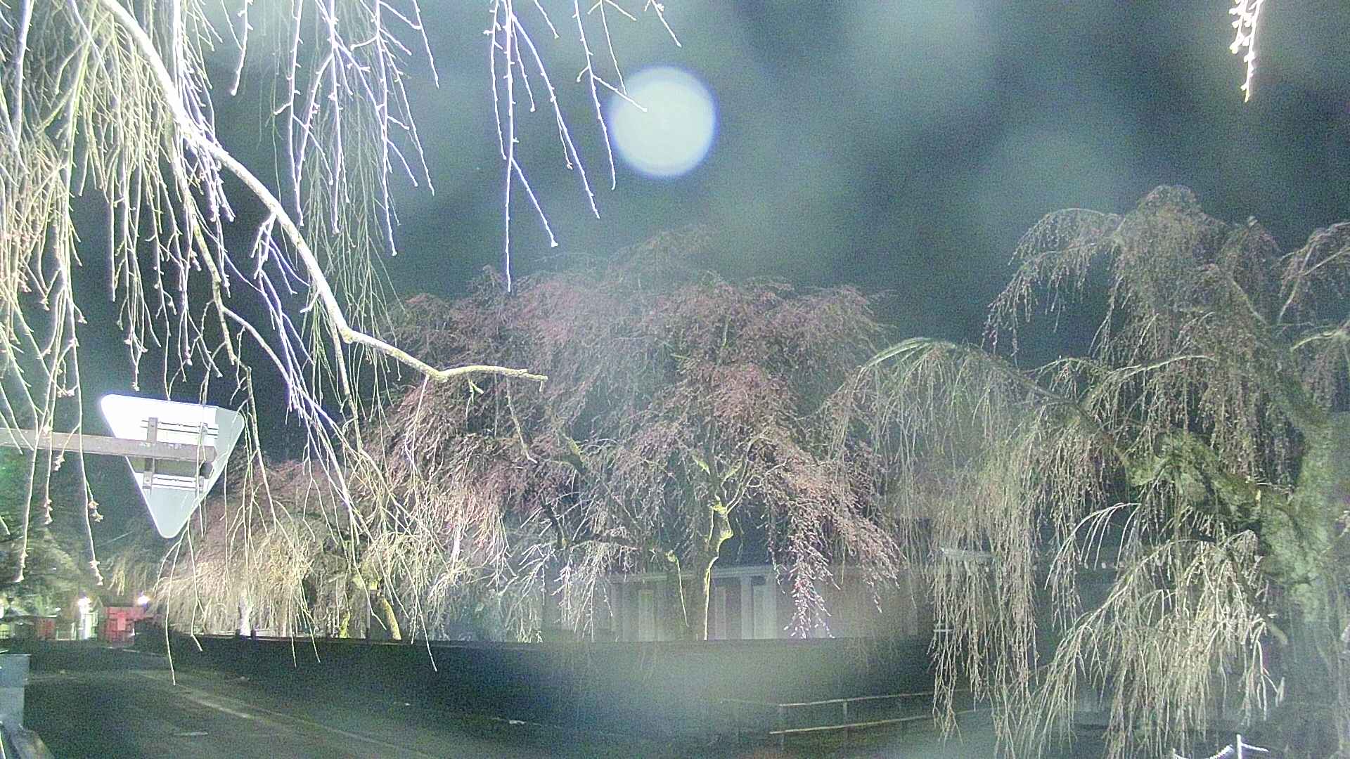 area1-20250417221015.jpg