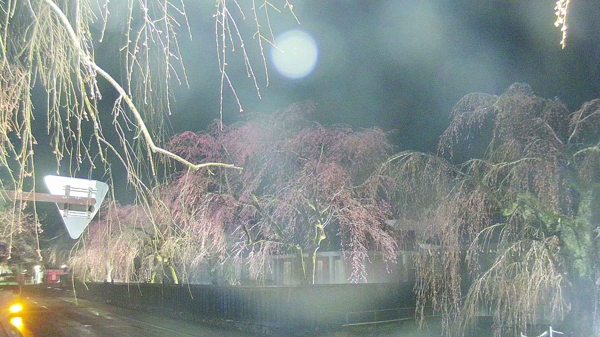 area1-20250418213017.jpg