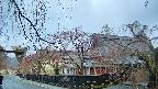 area1-20250419055020.jpg