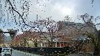 area1-20250419060016.jpg