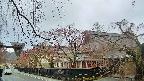 area1-20250419062016.jpg