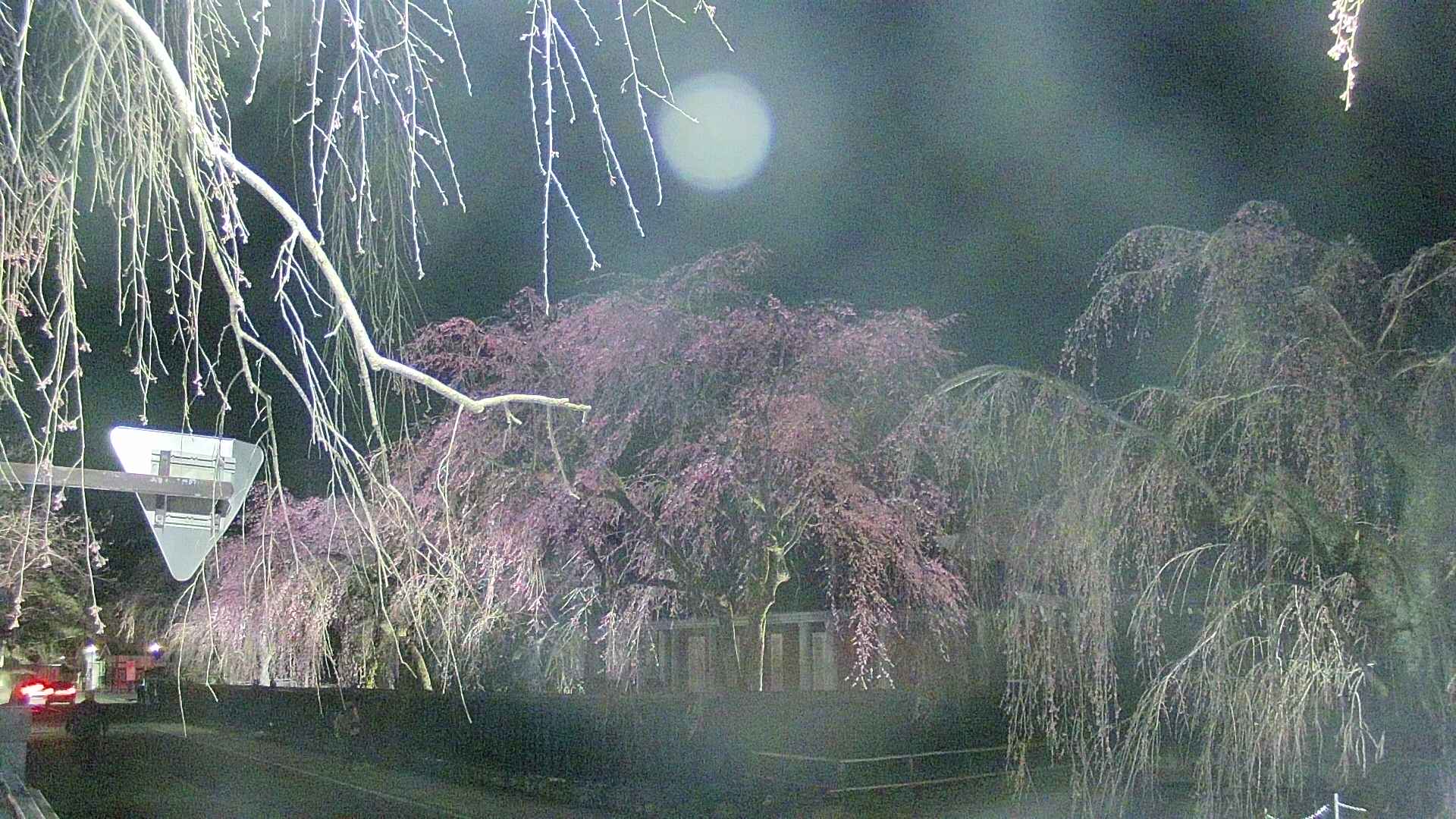 area1-20250419213016.jpg