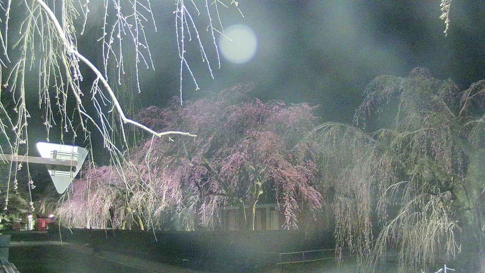area1-20250419221016.jpg