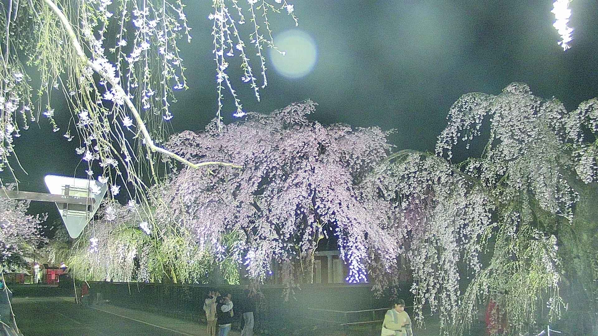 area1-20250425213015.jpg