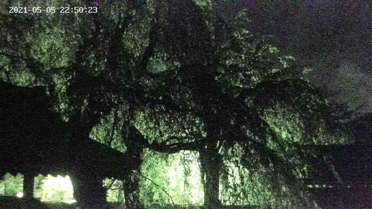 area2-20210505225025.jpg