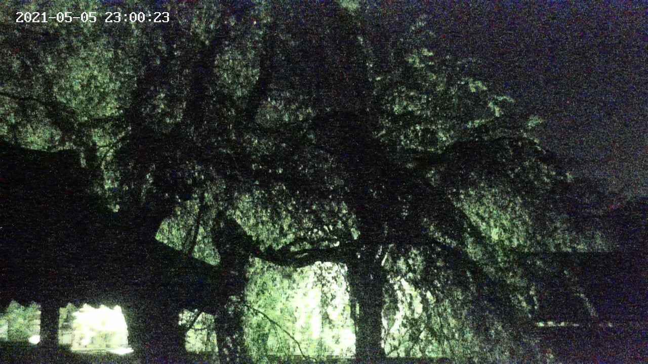 area2-20210505230024.jpg