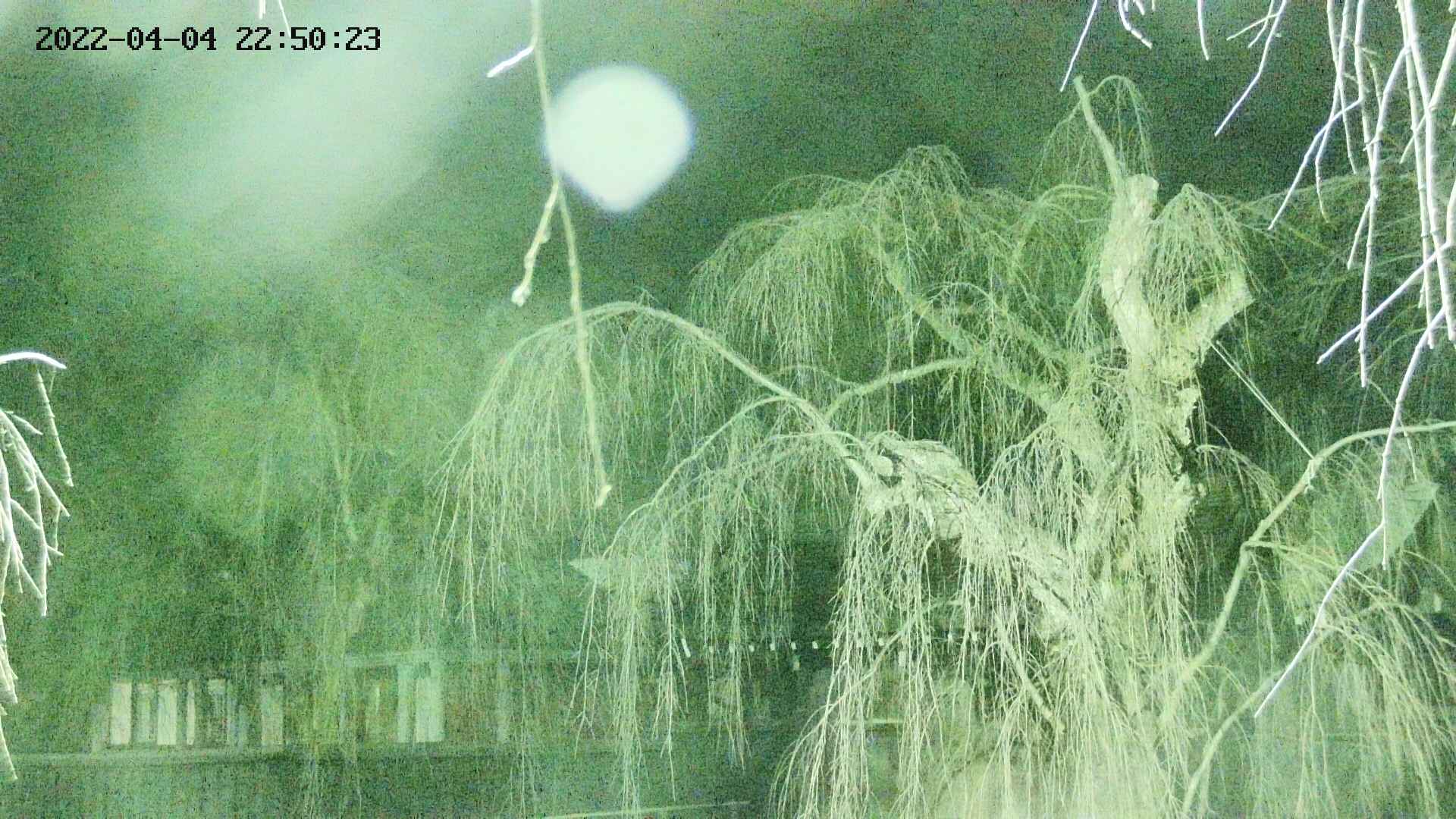area2-20220404225025.jpg