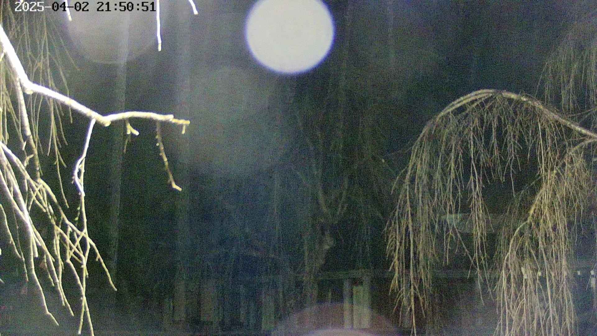 area2-20250402215053.jpg