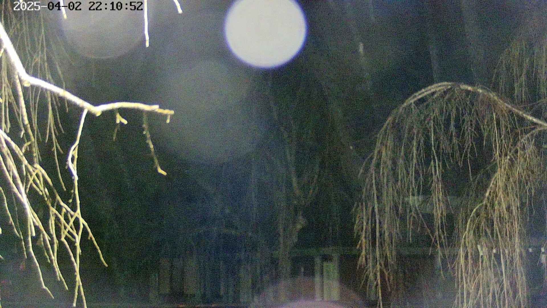 area2-20250402221055.jpg
