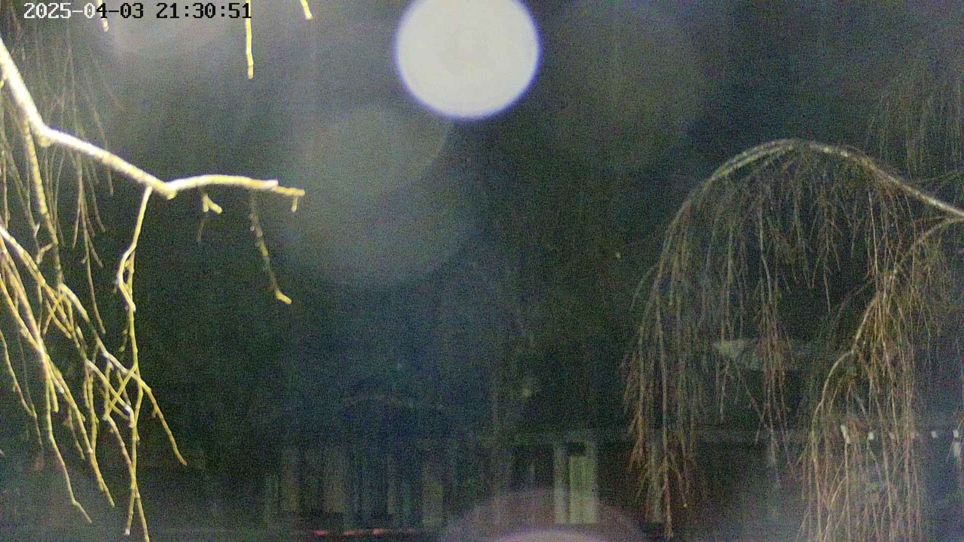 area2-20250403213054.jpg