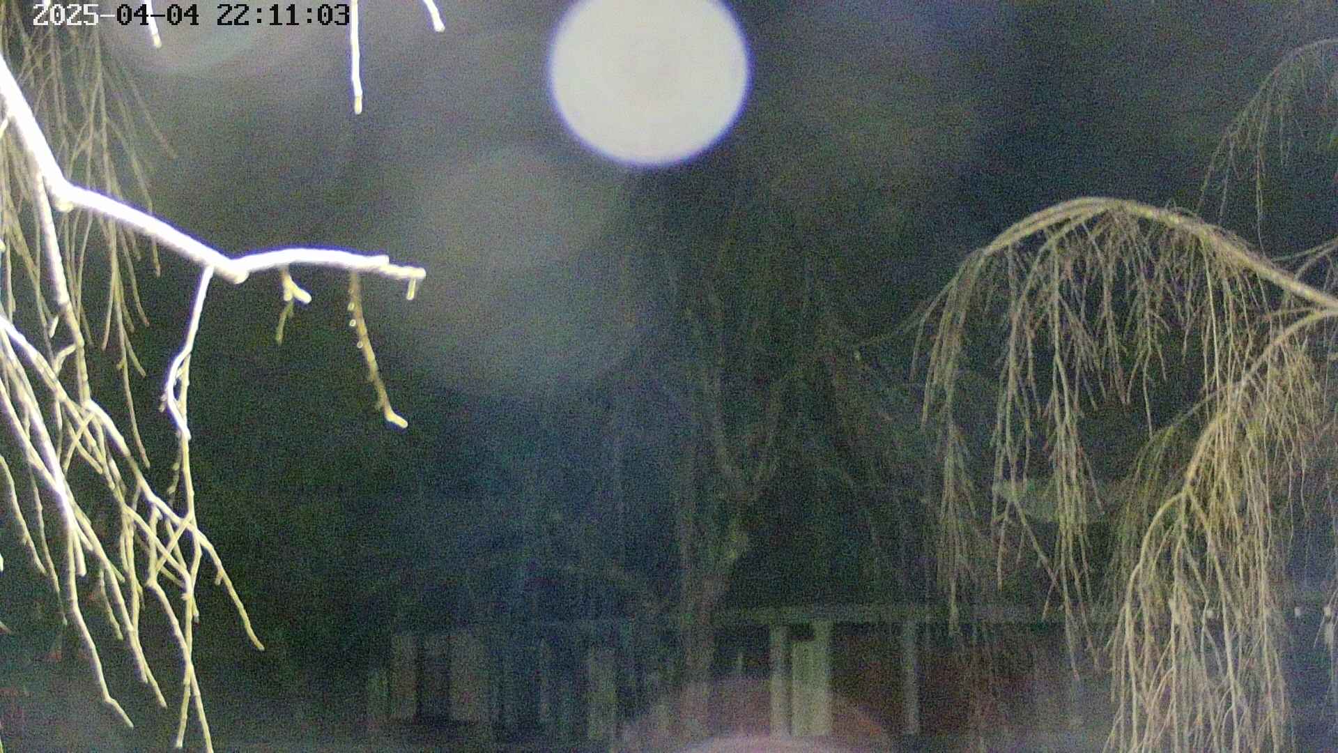 area2-20250404221105.jpg