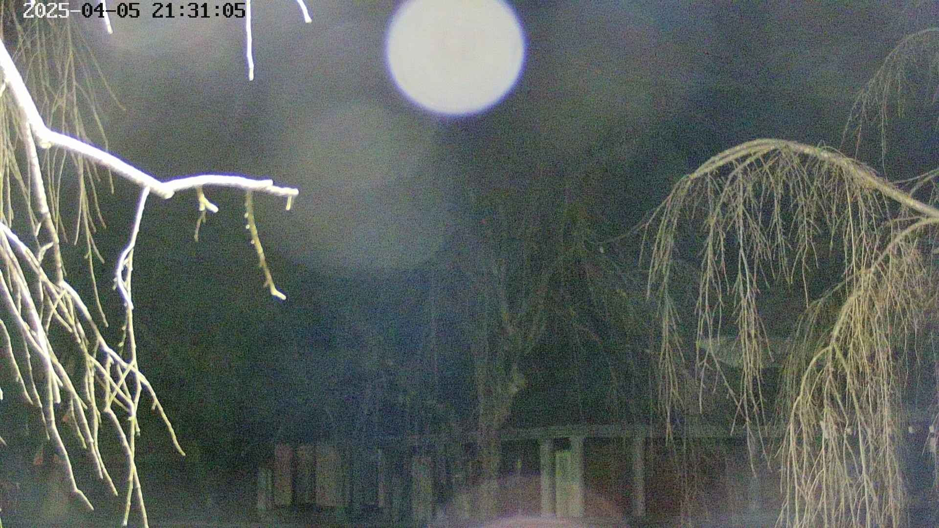 area2-20250405213107.jpg