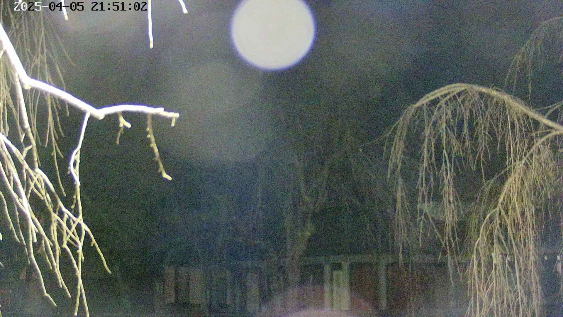 area2-20250405215105.jpg