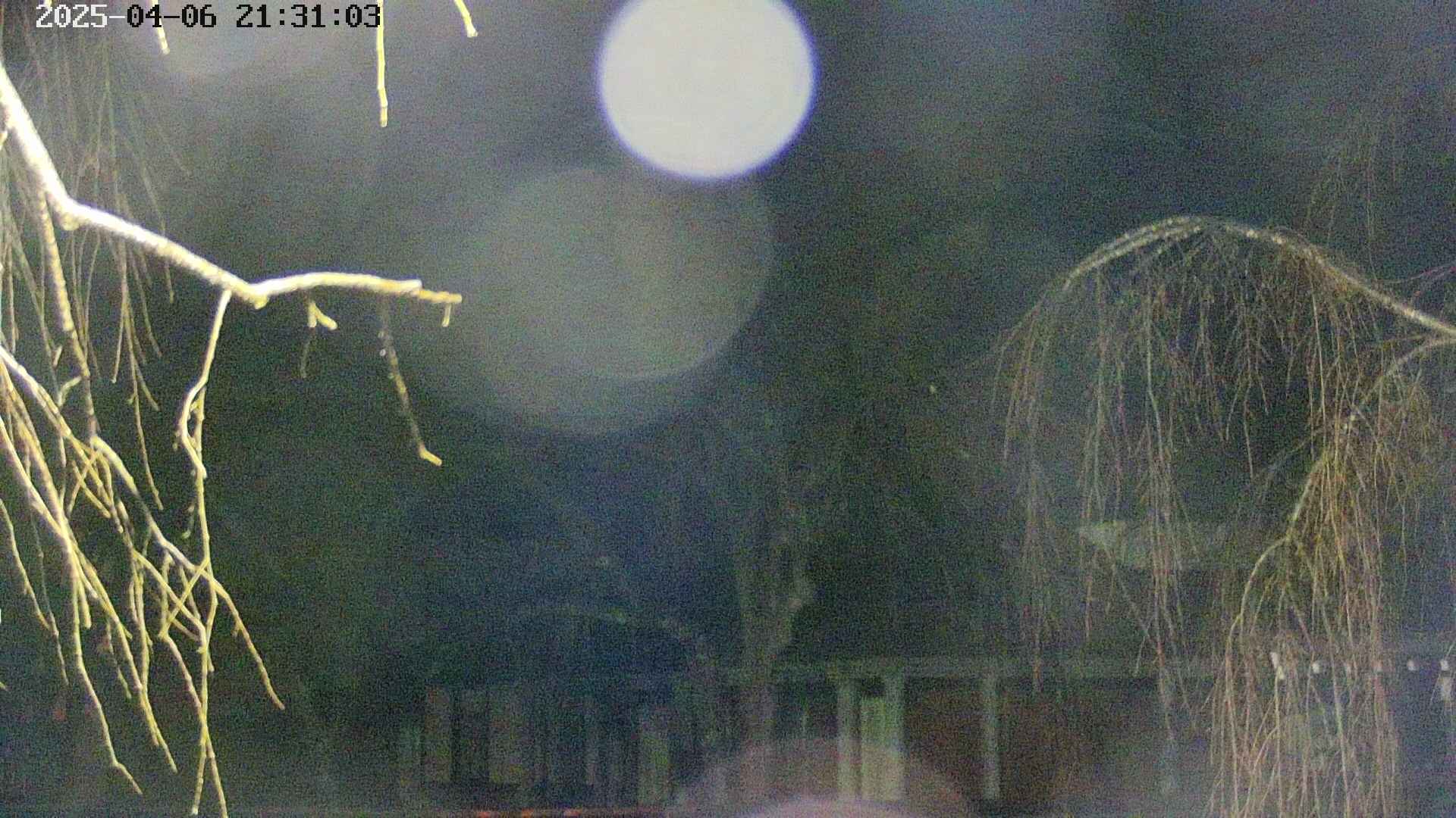 area2-20250406213106.jpg