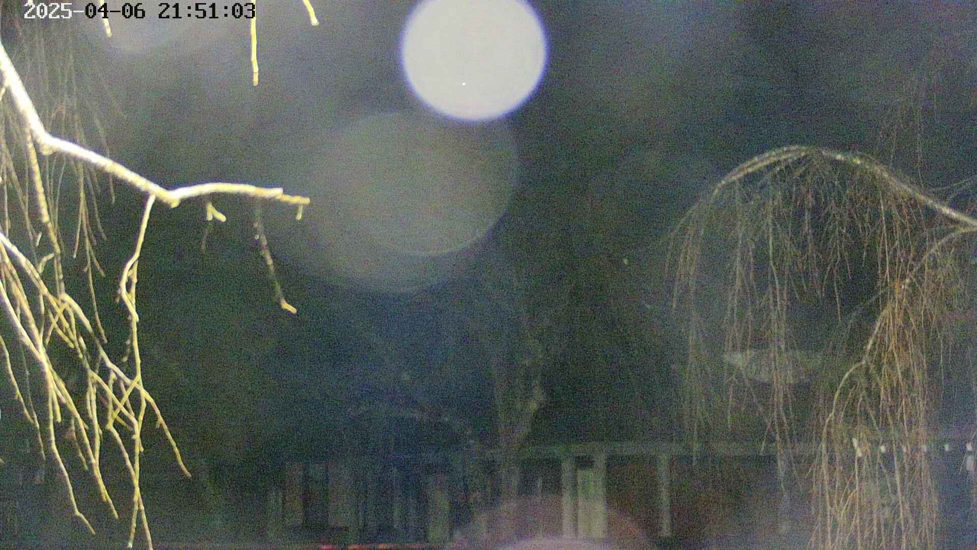 area2-20250406215105.jpg
