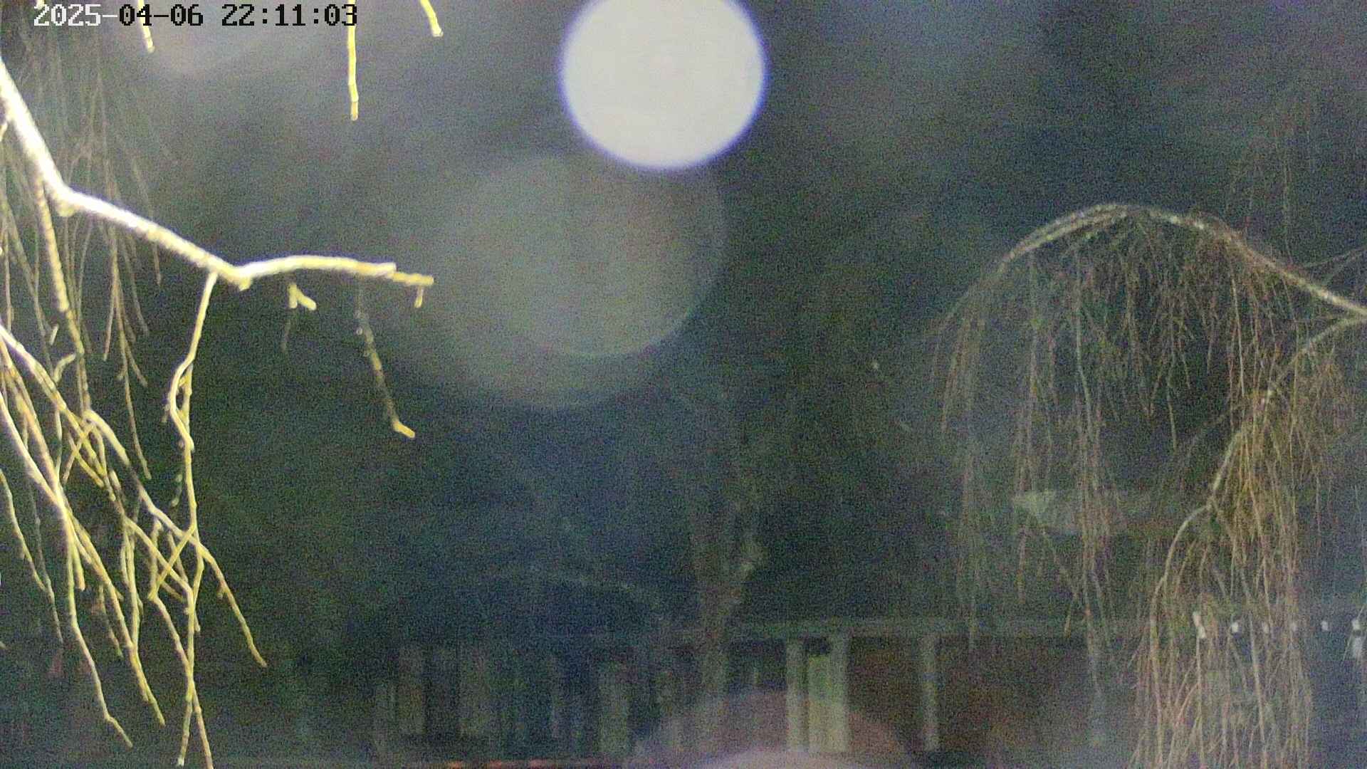area2-20250406221105.jpg