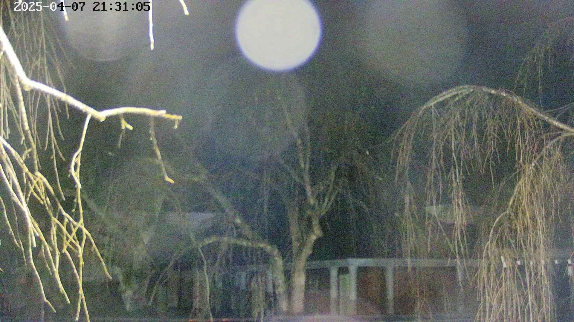 area2-20250407213108.jpg