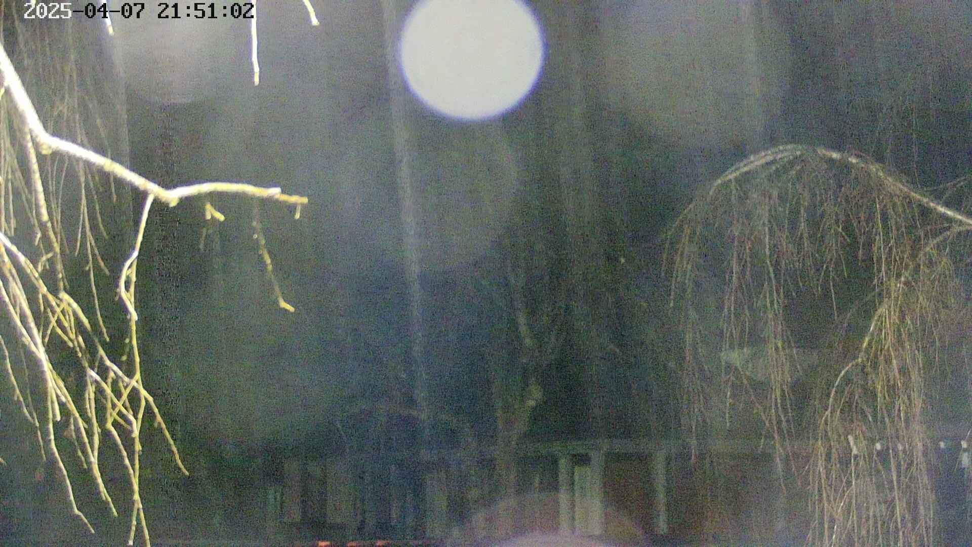 area2-20250407215104.jpg