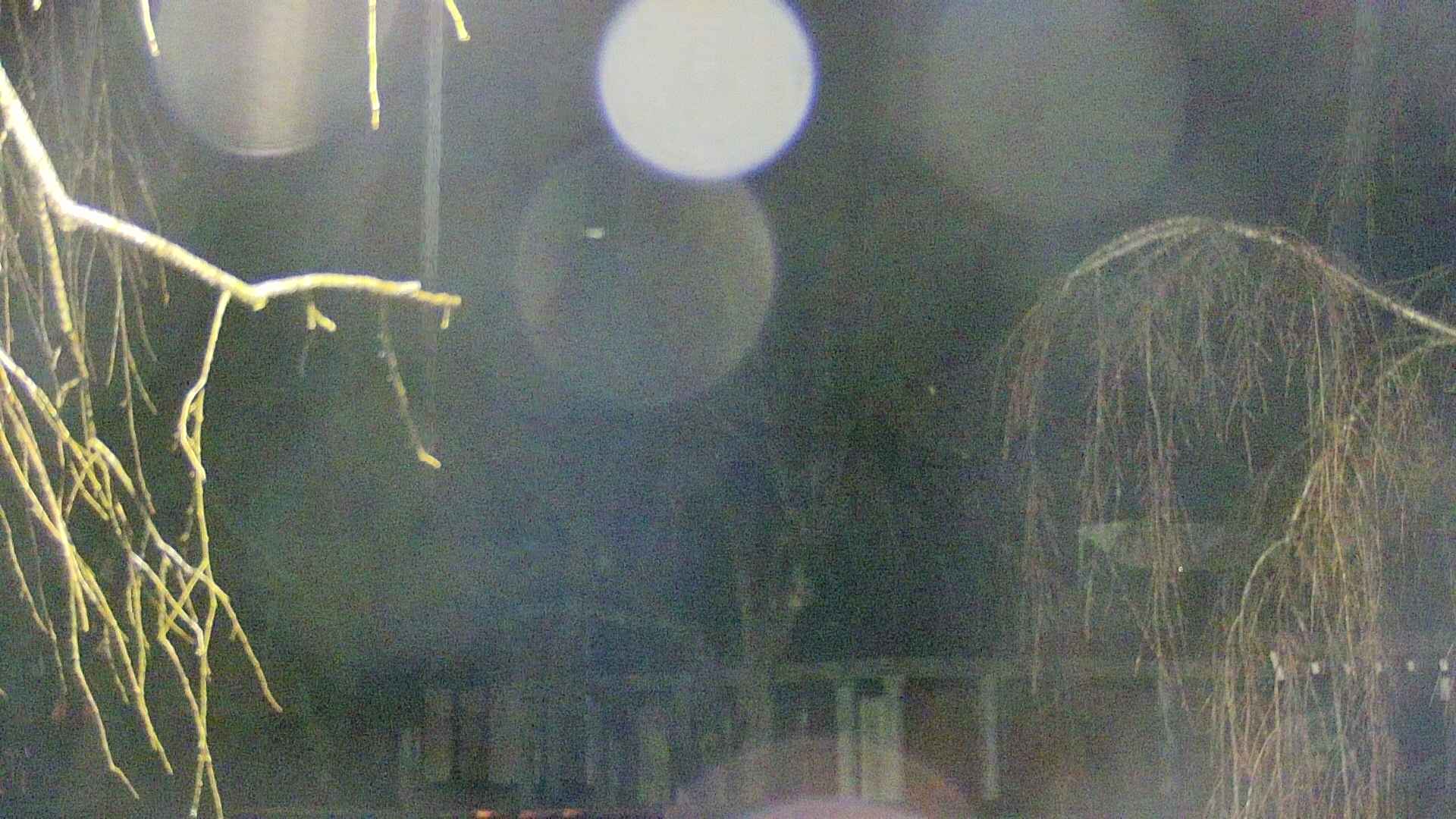 area2-20250408213105.jpg