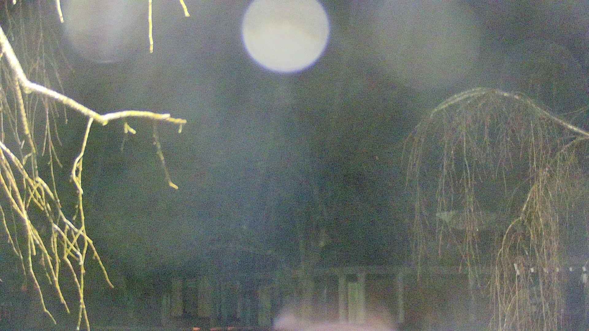 area2-20250408221106.jpg