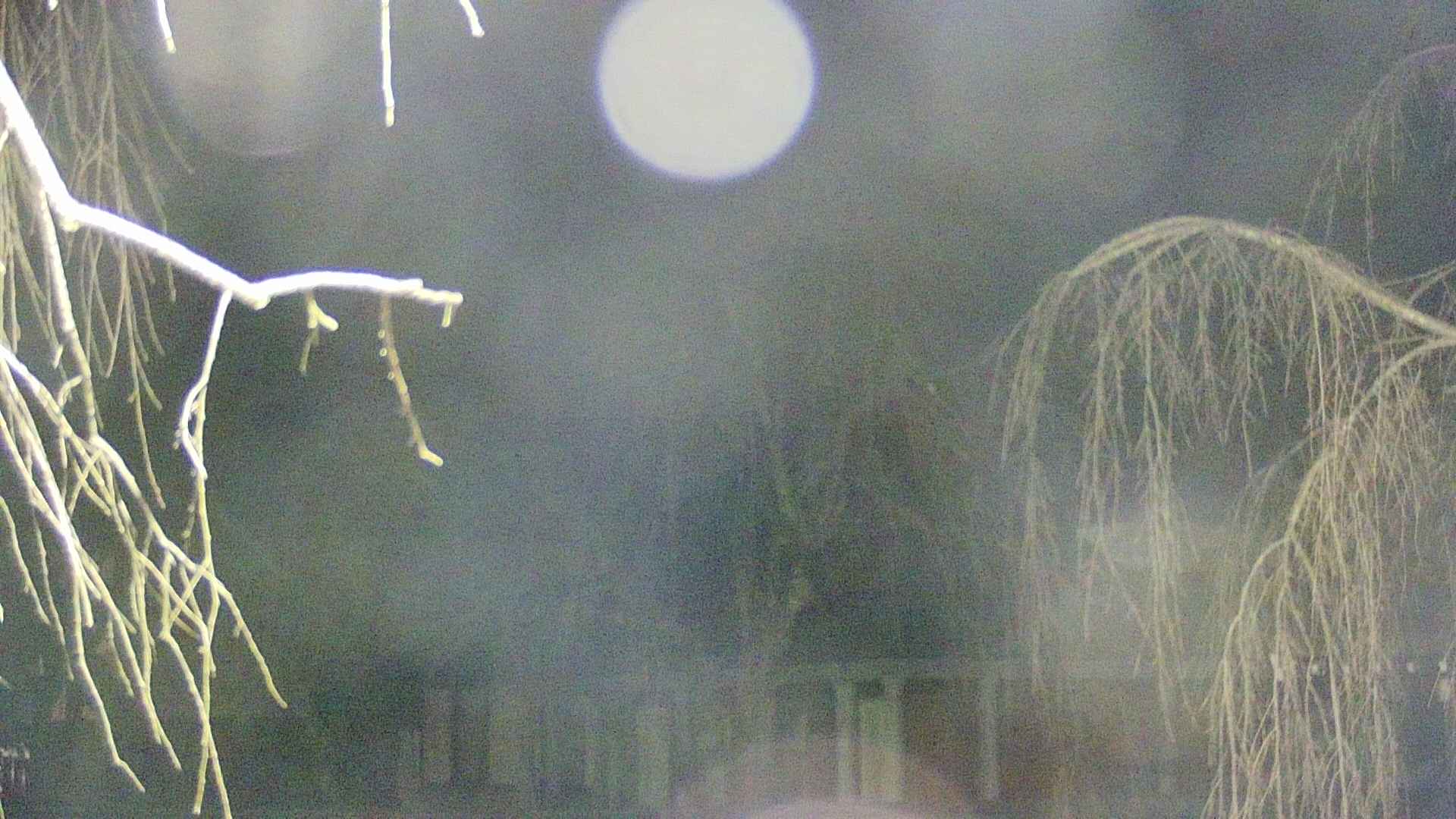 area2-20250409213106.jpg