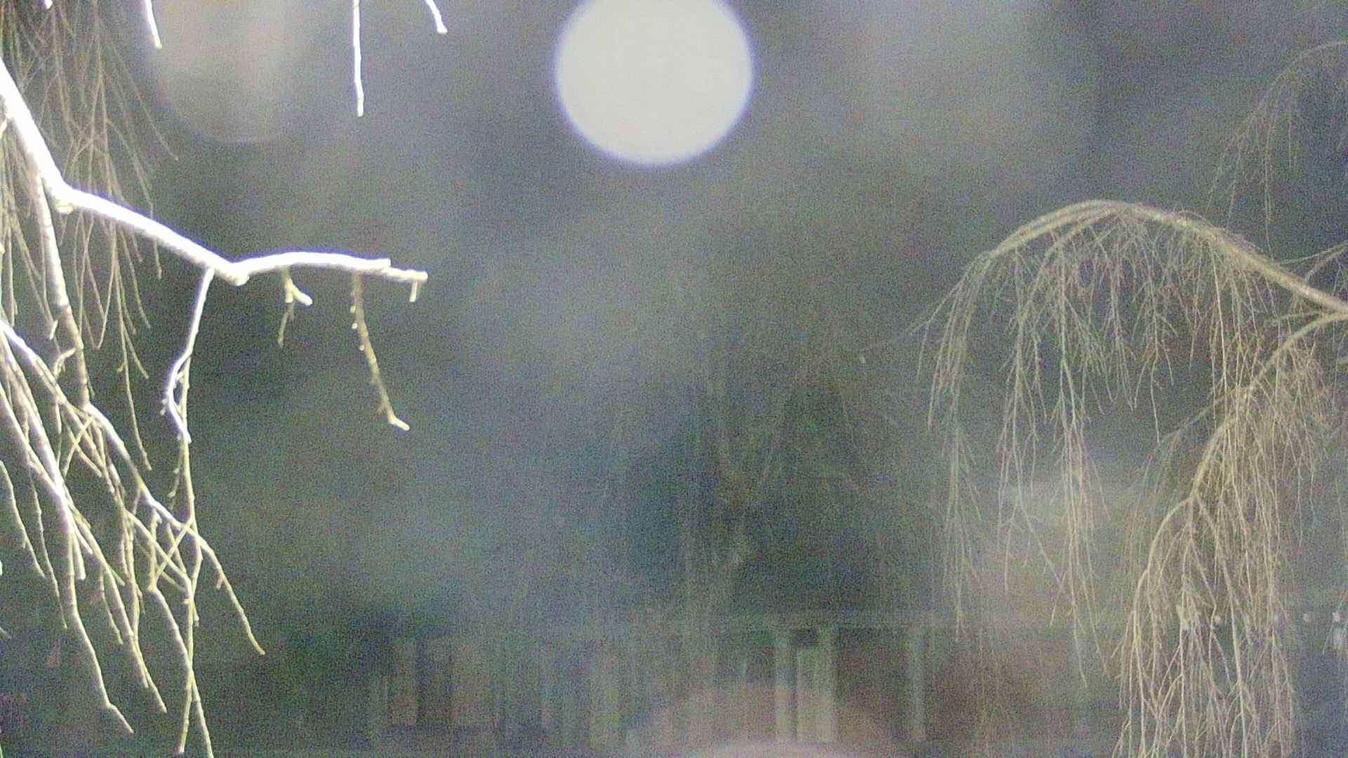 area2-20250409215105.jpg