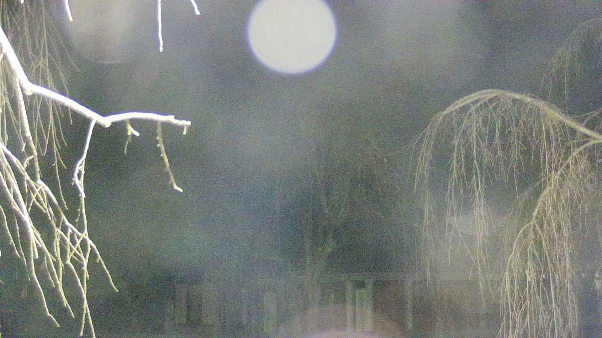 area2-20250409221108.jpg