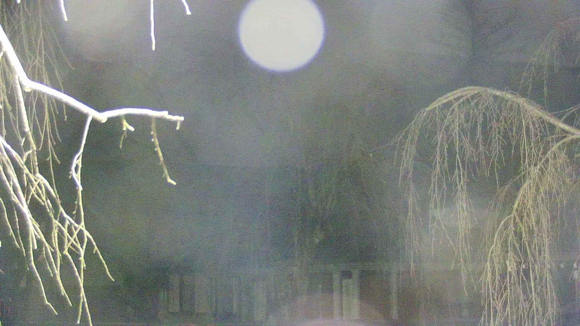 area2-20250411221106.jpg