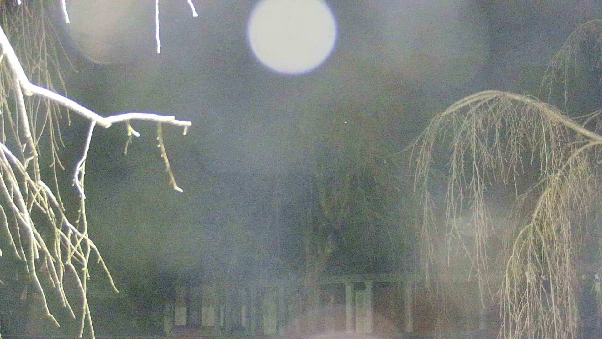 area2-20250412215106.jpg